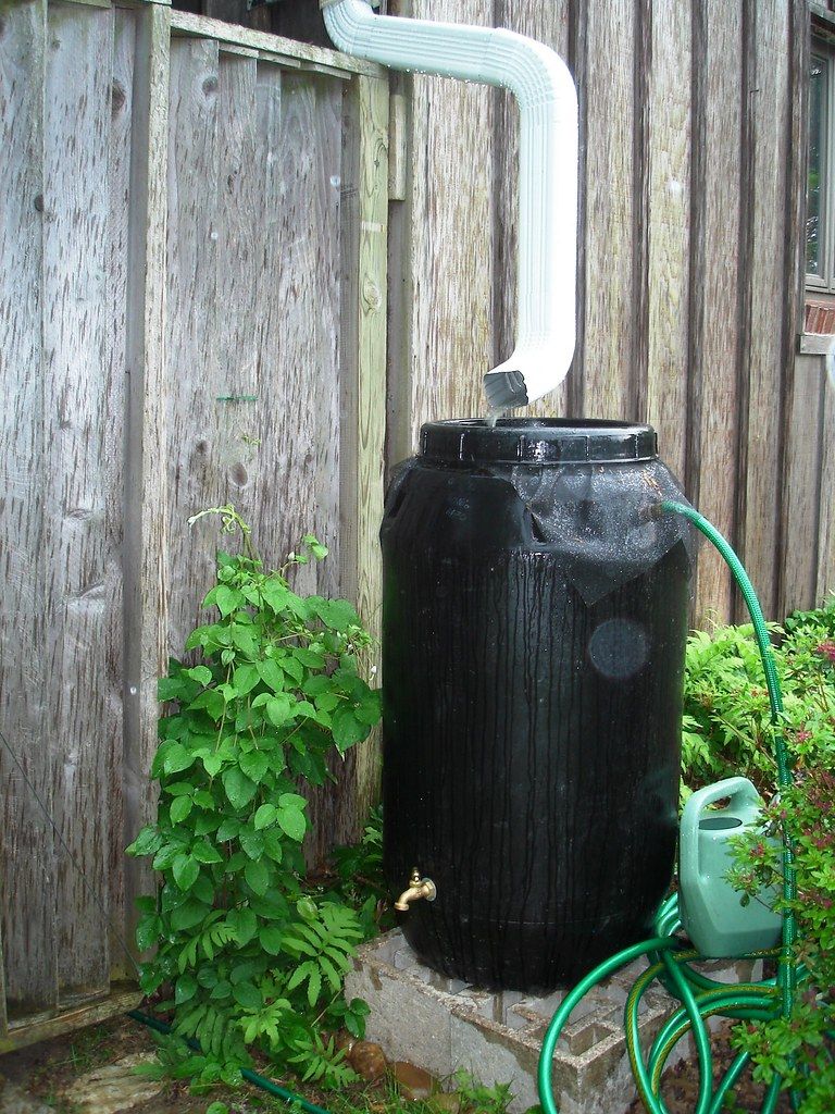 How to Build a Rain Barrel