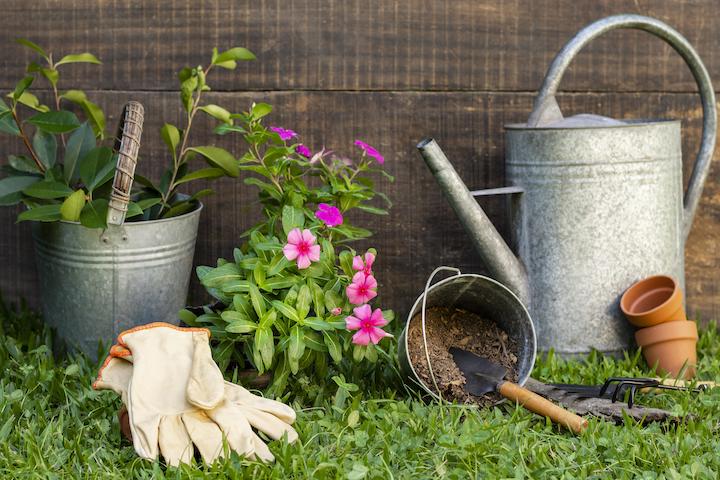 Essential Gardening Toolkit and Materials